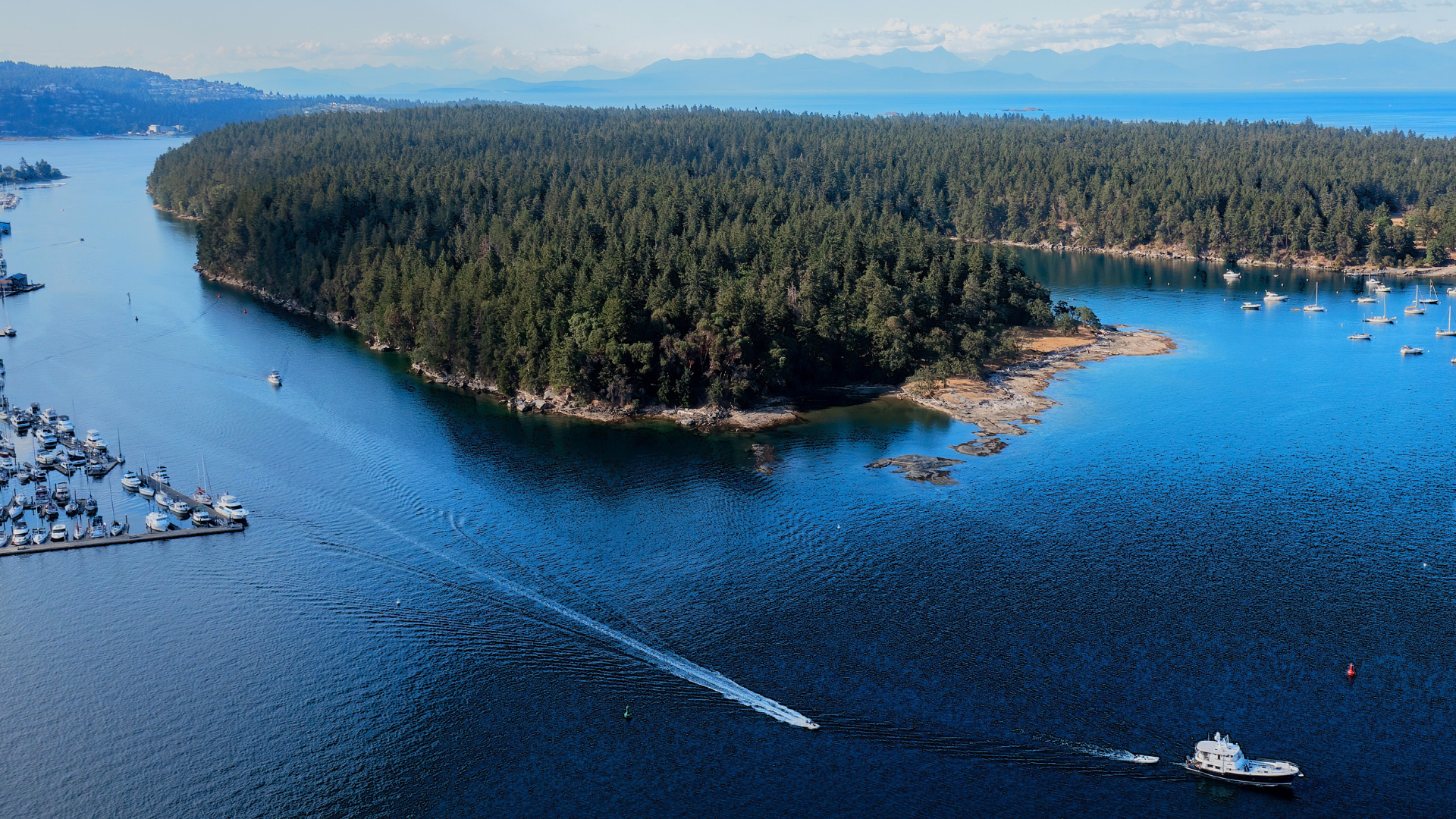 Living in Nanaimo: Pros and Cons (2026 Guide)